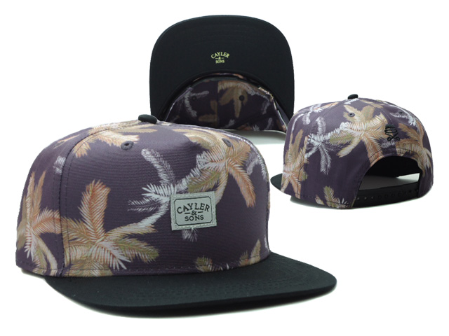 Cayler And Sons Snapback Hat #132